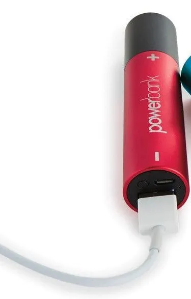 2200 mAh Power Bank with Flashlight